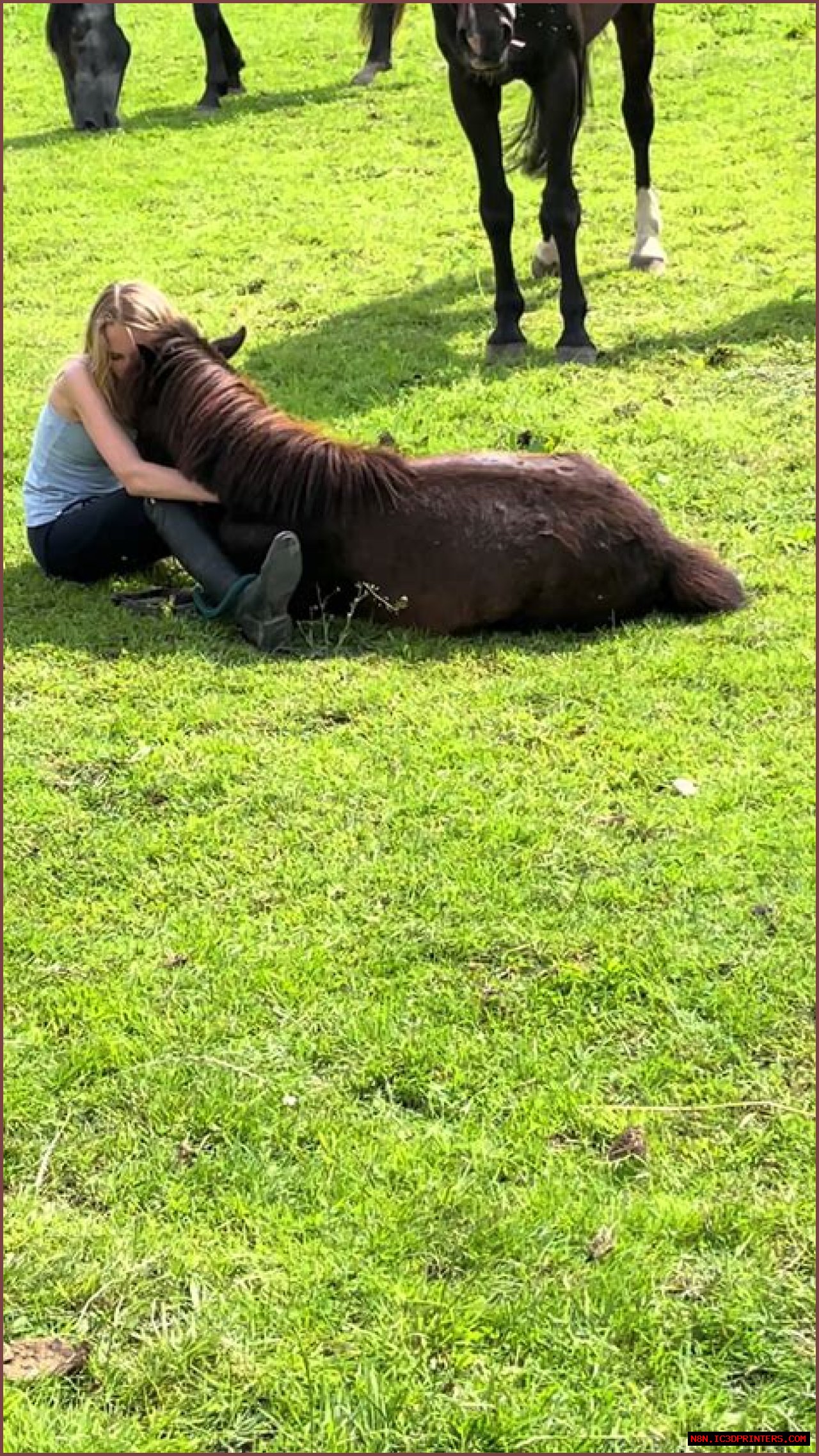 Exploring The Life And Journey Of Casper Henderson Stockwell